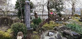 12. 伊豆八十八ヶ所霊場第十二番札所 湯谷山 長温寺の参拝記録(さとみさん)