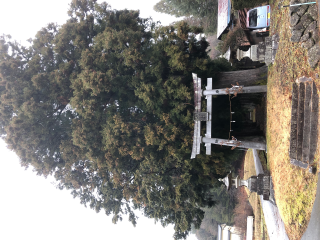 浪合神社の参拝記録(竜胆の花さん)