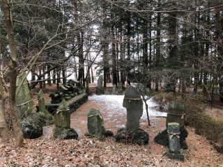 飯玉神社の参拝記録(竜胆の花さん)