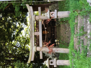 平林神社の参拝記録(竜胆の花さん)