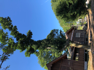 湊神社の参拝記録(竜胆の花さん)