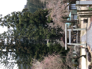 根羽諏訪神社の参拝記録(竜胆の花さん)