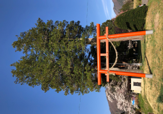 貴船神社の参拝記録6