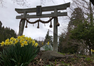 諏訪神社の参拝記録(竜胆の花さん)