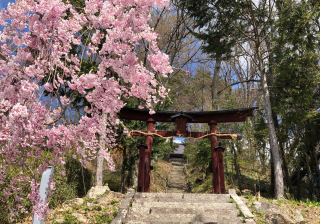 伺去神社の参拝記録(竜胆の花さん)