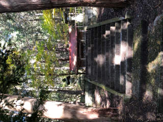 佐々屋幾神社の参拝記録(竜胆の花さん)