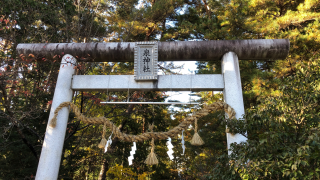泉神社の参拝記録5