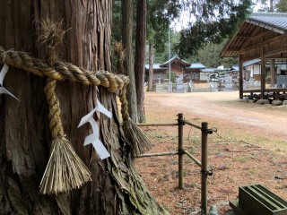 有明山社の参拝記録(竜胆の花さん)