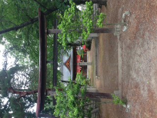 鈿女神社の参拝記録5