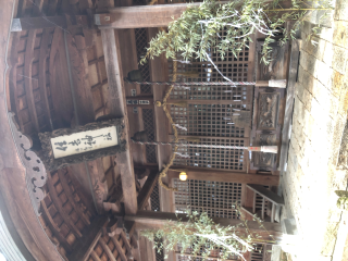 住吉神社の参拝記録(竜胆の花さん)