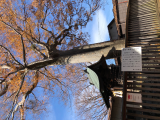 野々宮神社の参拝記録(竜胆の花さん)