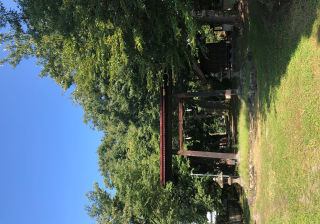 長田神社の参拝記録(竜胆の花さん)