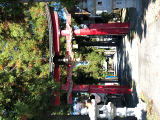 王日神社の参拝記録(竜胆の花さん)