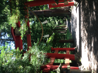 宇賀神社の参拝記録(竜胆の花さん)