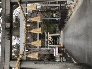 小井川賀茂神社の参拝記録(竜胆の花さん)