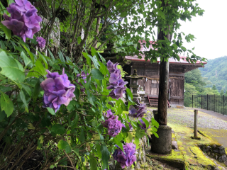 満島神社の参拝記録(竜胆の花さん)