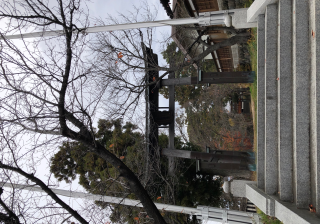 加美畑神社の参拝記録(竜胆の花さん)