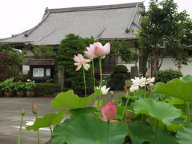 成福寺の写真1