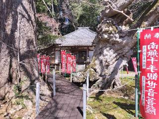 8.伊豆八十八ヶ所霊場第八番札所 益山寺の参拝記録(さとみさん)