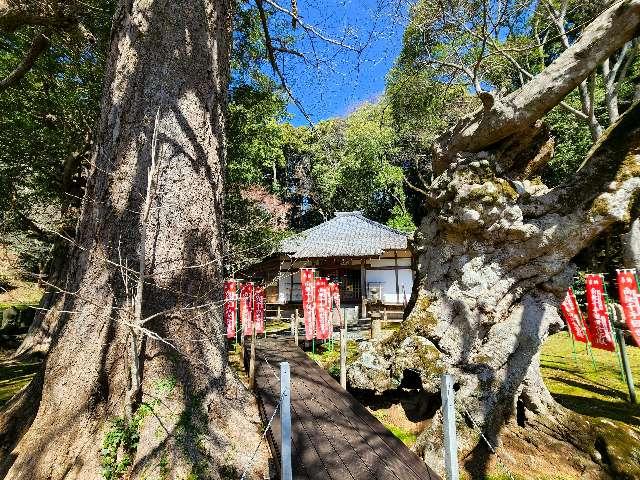 静岡県伊豆市堀切760 8.伊豆八十八ヶ所霊場第八番札所 益山寺の写真2