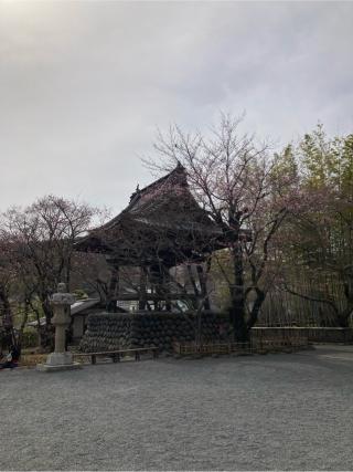 福地山 修禅寺の参拝記録(まさるさん)