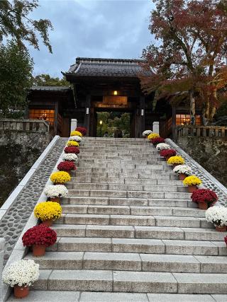 88.伊豆八十八ヶ所霊場第八十八番札所 福地山 修禅寺の参拝記録(ヒデさん)