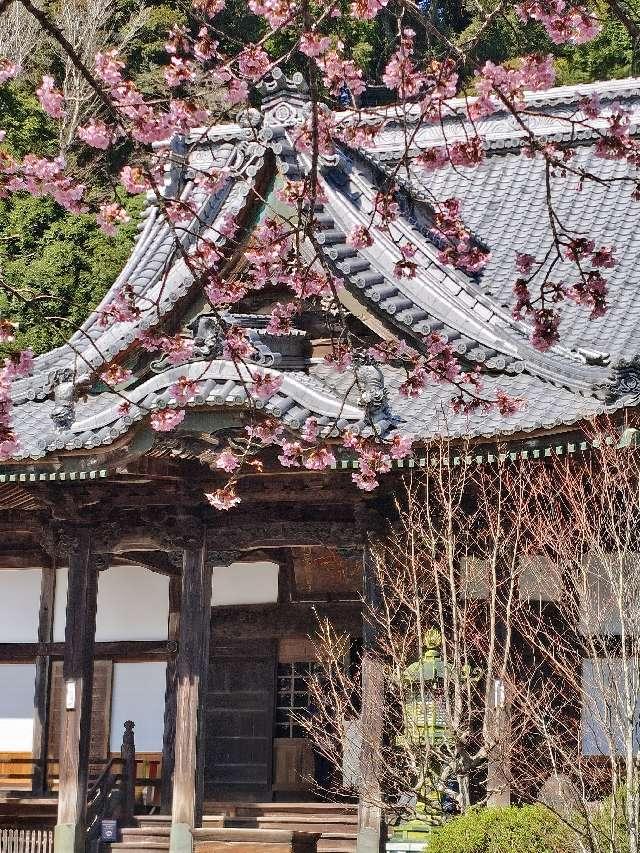 静岡県伊豆市修善寺964 福地山 修禅寺の写真10