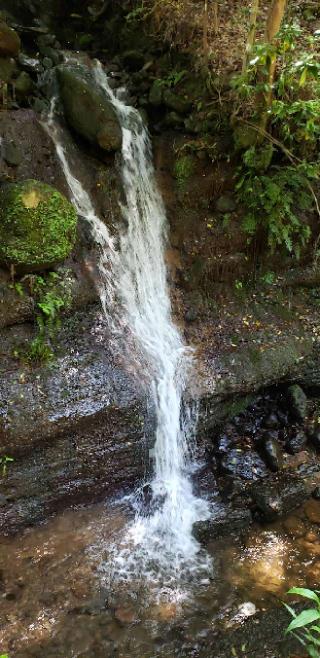 6.伊豆八十八ヶ所霊場第六番札所 大沢山 金剛寺の参拝記録(としさんさん)