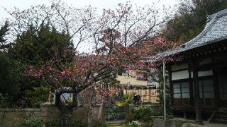 満福寺の参拝記録(げんさんさん)