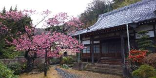 満福寺の参拝記録(げんさんさん)