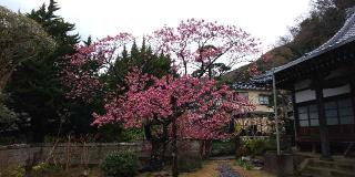 満福寺の参拝記録(げんさんさん)