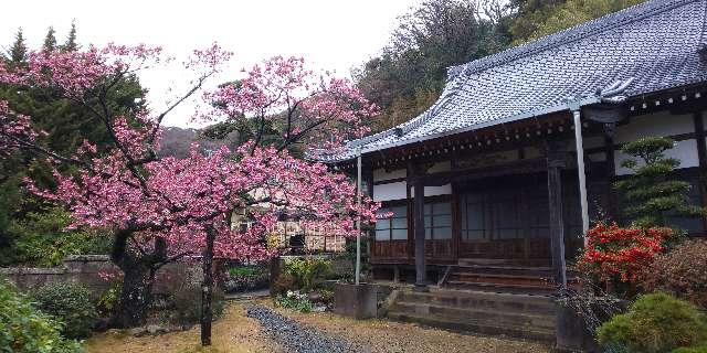 満福寺の写真1