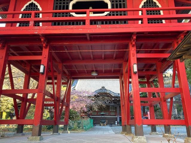 一楽山 清雲寺の参拝記録1