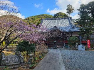 一楽山 清雲寺の参拝記録(まっきーさん)