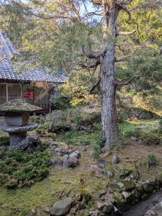 一楽山 清雲寺の参拝記録(BakaUminekoさん)