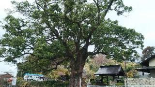 吉祥山 安楽寺の参拝記録(げんさんさん)