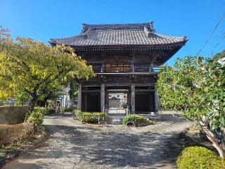 富厳山 海善寺の参拝記録(まっきーさん)