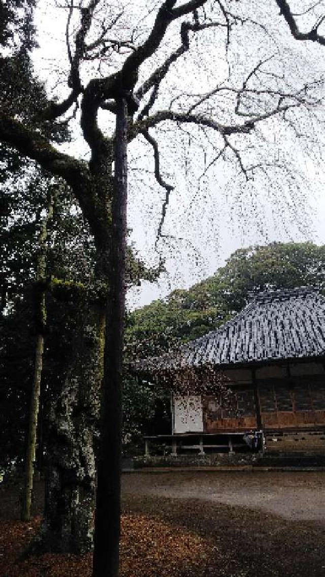 静岡県下田市加増野420 伊豆八十八ヶ所霊場第四十八番札所報本寺の写真3