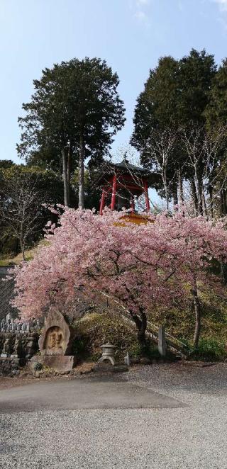 龍巣院の参拝記録(さとみさん)