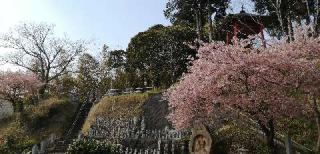 龍巣院の参拝記録(さとみさん)