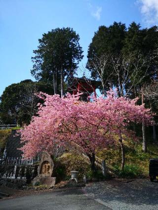 龍巣院の参拝記録(たけちゃん⚾さん)