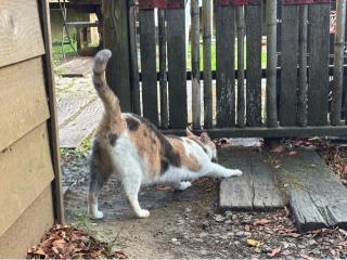 鳳儀山 栖足寺の参拝記録(忍さん)