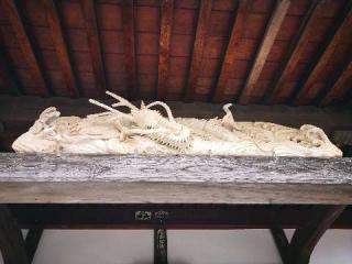 如意円満山 成就寺の参拝記録(たけちゃん⚾さん)