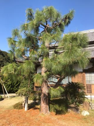 永江院の参拝記録(たけちゃんさん)