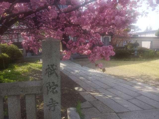 岩手県盛岡市大慈寺町3-16 青龍山 祇陀寺の写真1