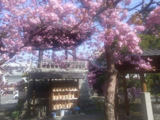 青龍山 祇陀寺の参拝記録(ＦÙKUさん)