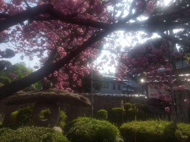 岩手県盛岡市大慈寺町3-16 青龍山 祇陀寺の写真2