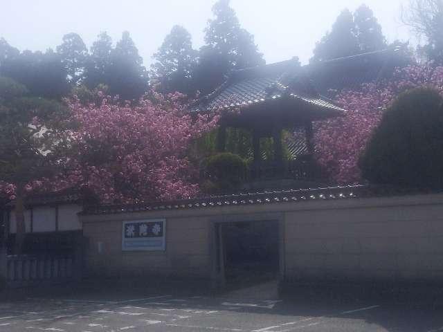 岩手県盛岡市大慈寺町3-16 青龍山 祇陀寺の写真3