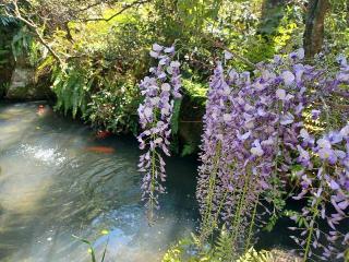 本寿寺の参拝記録(銀玉鉄砲さん)