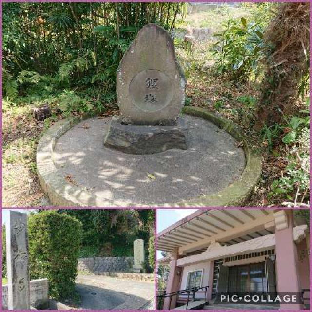妙泰寺の参拝記録5